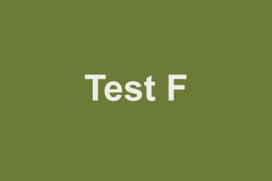 Testfläche Cover F