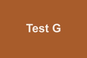 Testfläche Cover G